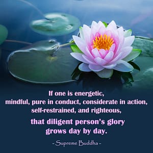buddhist-quotes-energetic-person